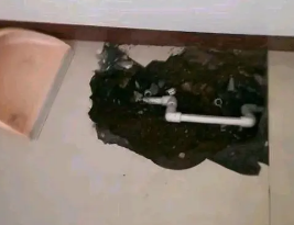定西市卫生间测漏水多少钱